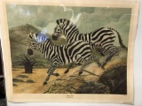 Vintage, Limited Edition Grant's Zebra Print