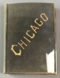 Antique 1891 Standard Guide to Chicago