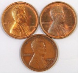 Lot of (3) 1909 P Lincoln Wheat Cents.