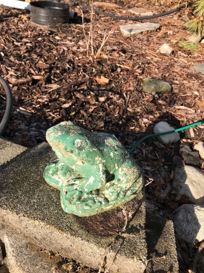 Concrete garden frog