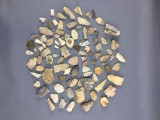 Group of Native American arrowheads, fossils and more
