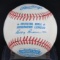 1991 Chicago White Sox Comiskey Park Inaugural Year Official American League Baseball