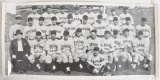 Chicago Cubs 1940's Team Photo