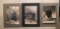 Group of three black and white photos of national parks