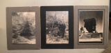 Group of three black and white photos of national parks