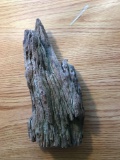 Piece of petrified wood