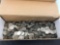 Lot of approx 920 Jefferson Nickels