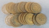 Lot of 20 Indian Head Cents.