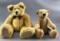 Group of Teddy Bears