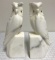 Alabaster Owl Bookends