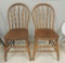 Group of 2 Bentwood Ash Chairs