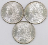 Lot of (3) Morgan Dollars.