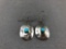Sterling Silver and Turquoise earrings