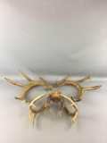 Group of 3 Deer Antlers