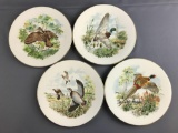 Pickard Collector Plates featuring birds