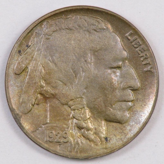 1929 D Buffalo Nickel.