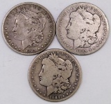 Lot of (3) 1884 P Morgan Silver Dollars.