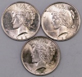 Lot of (3) 1922 P Peace Silver Dollars