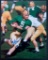 Signed Green Bay Packer Paul Hornung Photograph