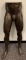 Male Waist and Legs Manikin