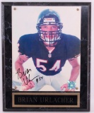 Signed Chicago Bear Brian Urlacher Photo with Plaque Display and COA