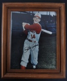 Singed Cincinnati Reds Pete Rose Photo with COA