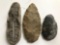 Group of 3 arrowhead, fossil