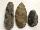 Group of 3 arrowhead, fossil