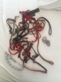 Group of medium size dog leashes and collars