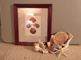 Vintage Shell Print and Shells