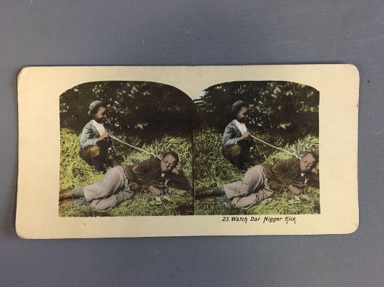 Vintage Stereograph Card