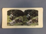 Vintage Stereograph Card