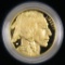 2006 W $50 American Gold Buffalo Proof.