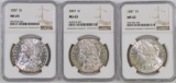 Lot of (3) 1887 P Morgan Silver Dollars all (NGC) MS63.