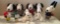 Group of 9 Snoopy Character Toys