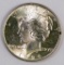 1924 P Peace Silver Dollar.