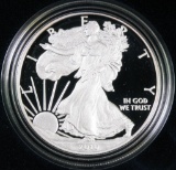 2010 W Proof American Silver Eagle.