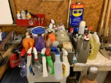 Group of empty and partially full bottles of cleaning supplies