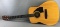 Eterna EF-18 Acoustic Guitar
