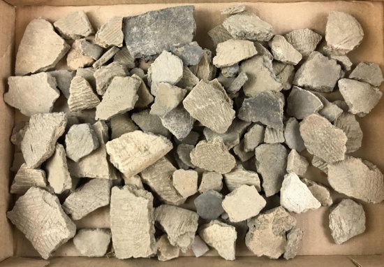 Group of Ancient Archaeological artifact fragments
