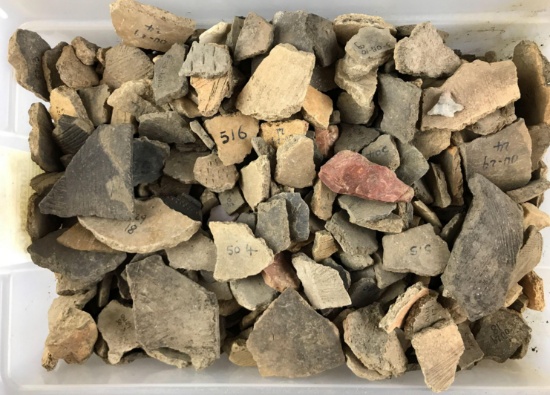 Group of Ancient Archaeological artifact fragments