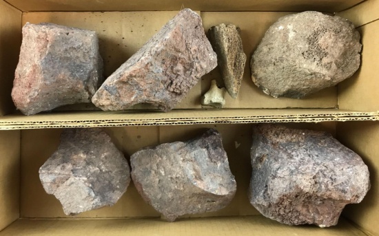 Group of stones and bone fragments
