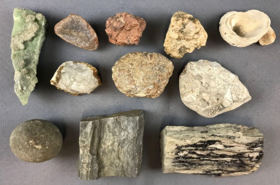 Group of stones, petrified wood, Fossils and more
