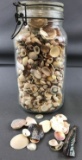 Jar of small seashells and 3 larger shells