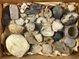 Group of rocks, Fossils, Stone Tools and more