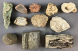 Group of stones, petrified wood, Fossils and more