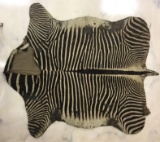 Vintage Zebra Skin Hide Rug
