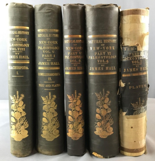 Antique books Natural History Of New York Paleontology 5 volumes