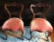 Pair of ornate side chairs