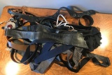 Group of 20+ : Women's Belts/Straps/Sashes
